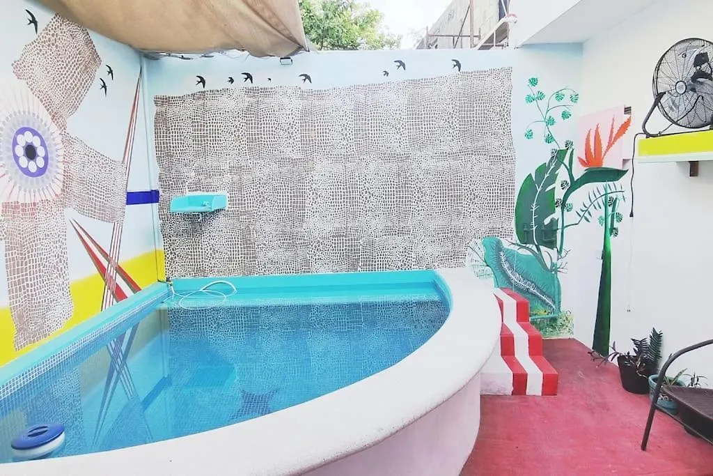 Splash Into Paradise ! Cozumel